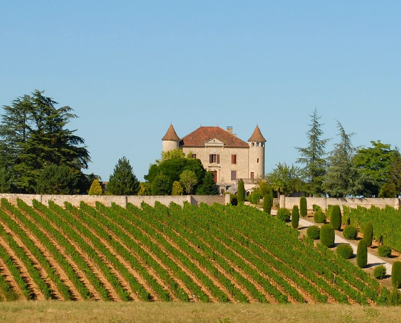 vignobles bordelais